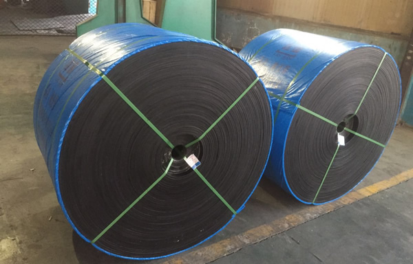 聚酯91免费下载APP小黄片